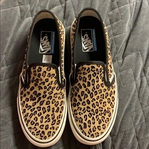 Cheetah Vans